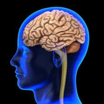 Epileptiske anfall Epileptiske anfall skyldes kraftige, elektriske utladninger i mange hjerneceller