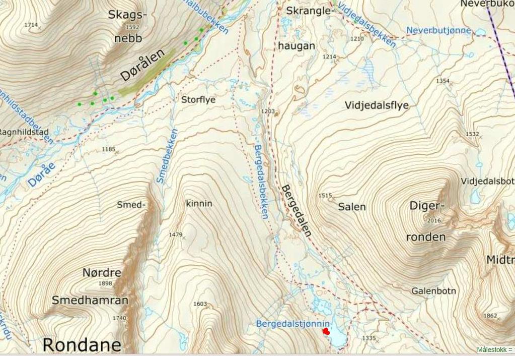 Turmål 18. Bergedalstjønnin *** Kassa fra 2017 står også i 2018.