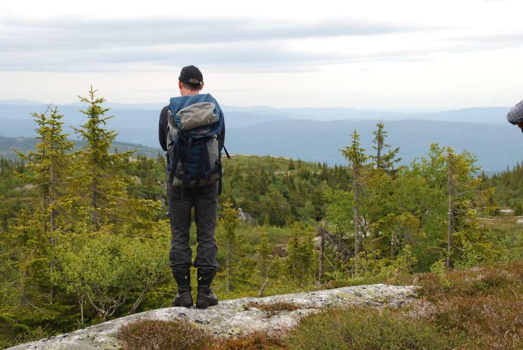 Landskapsperspektivet «Den europeiske landskapskonvensjonen» Natur-kultur Fortid-