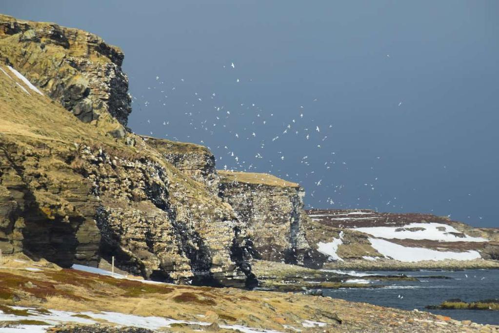 BIOTOUR: Arbeidsverksted i Varanger: 6. mai 2017 1. Hva er det vi bryr oss om og hva er det vi er gode på? (tilhørighet) 2.