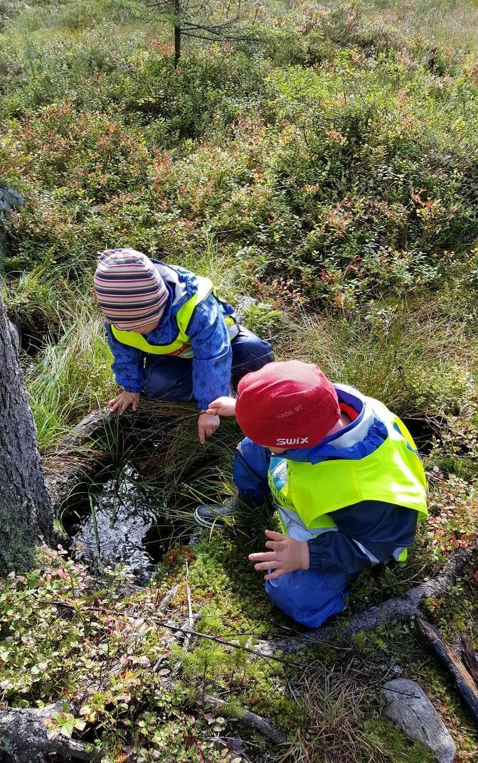 Bærekraft. Vi lever i en tid da vi mener det er riktig å vise barn hvor viktig det er å ta vare på kloden vår.