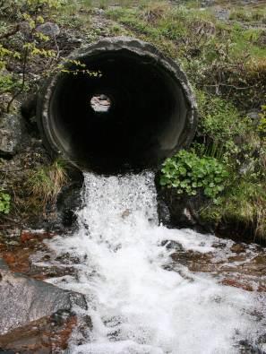 Biomangfoldkartlegging, Fv17 og Fv 720 i Steinkjer og Verran kommune Tidsperiode: 2011 Statens Vegvesen Region Midt Kontaktperson: Internoppdrag via Randi Osen tlf.