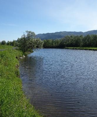 Fiskeundersøkelser i Drammenselva Fylkesmannen i Buskerud Fiskeundersøkelser i Drammenselva og Lierelva Oppdragsgiver Fylkesmannen i Bukerud Størrelse 60 000 Tidsperiode: 2017 Kontaktperson: Erik