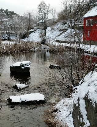 Vi gjennomførte en prescreening av allmenne miljøinteresser knyttet til damrestaurering av over 10 dammer på Romerike.