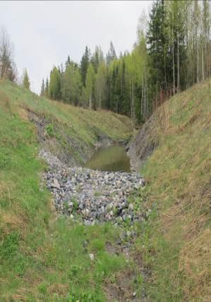 Dersom det er fisk i Myrertjern vil en fjerning av fisk kunne styrke amfibiebestanden.