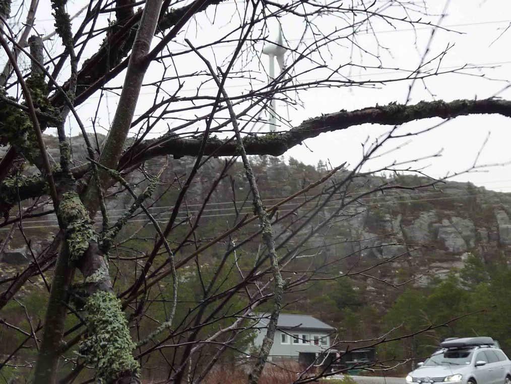 Reineiere mener at vindmølleparken Hundhammerfjellet med veier og bygg har medført til at de driftsmessig ikke lengere kan bruke dette området mer.