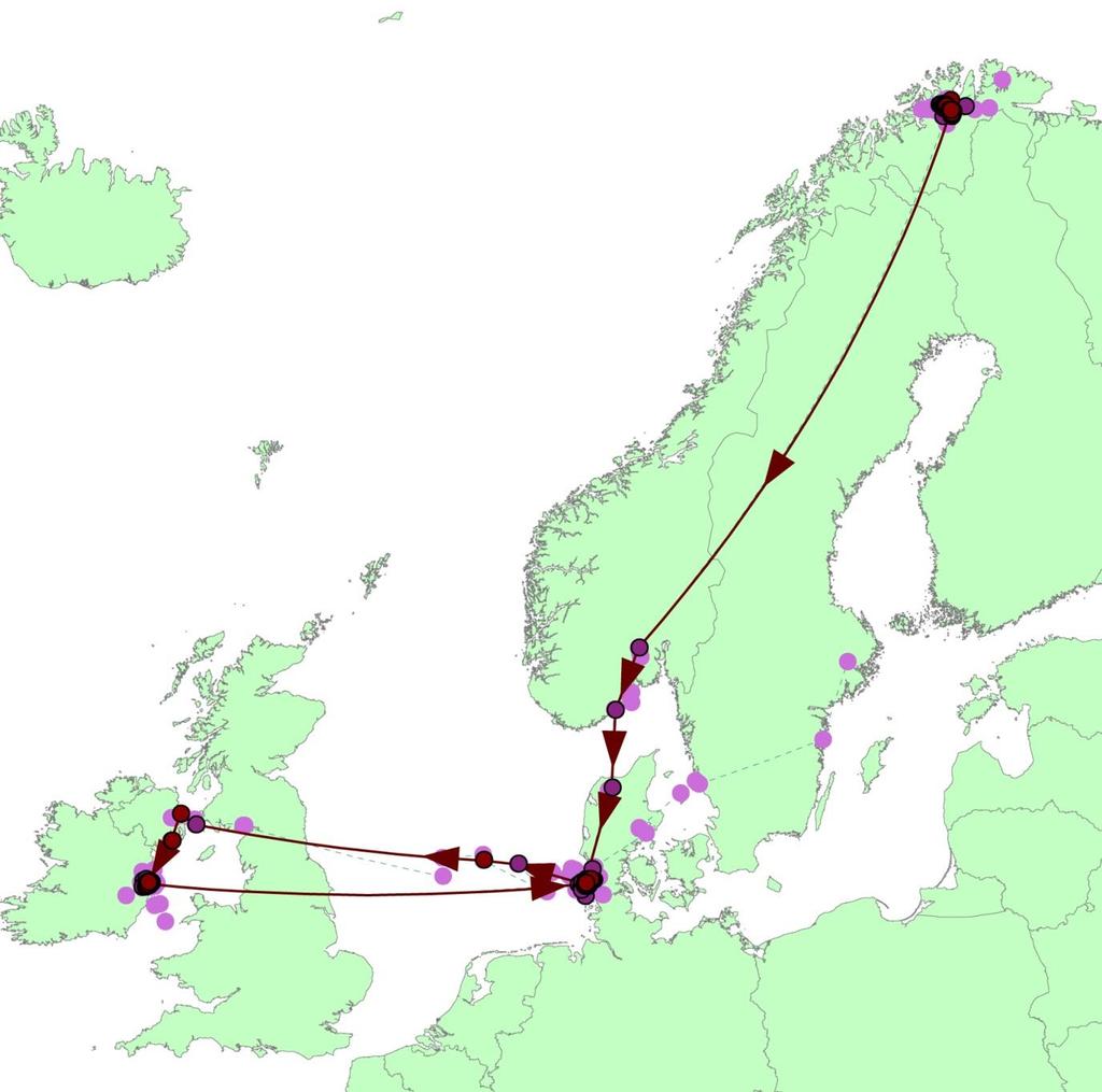 2012: Lappspovehannen (med fotring JJJ0 og satellittsender (ID 60760) oppholdt seg i Irland til 15. mars 2012. Den 18.