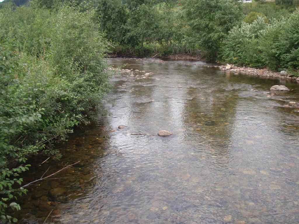 ungfisk av laks var hhv. <1 og 4,5 ind./100m². For ørret var tetthetsnivåene hhv. 1,5 og 0,7 ind./100m². Dette er svært lave tetthetsnivåer sammenlignet med vår forventning, og resultatene fra 2007.