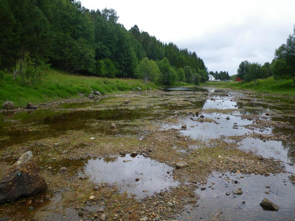 Ved munningen av Grytelvvassdraget er det en foss og flere småstryk som har et samlet fall på fem meter. Strekningen mellom fossen og Aunvatnet (18 moh.) er ca 1 km lang og opptil 15 m bred.