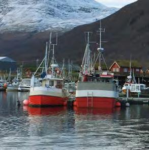 Miljøet i Skardalen er basert på frivillige, samstundes som det dreg menneske frå andre miljø til Kåfjord, som universitetsmiljø, turfolk og liknande.