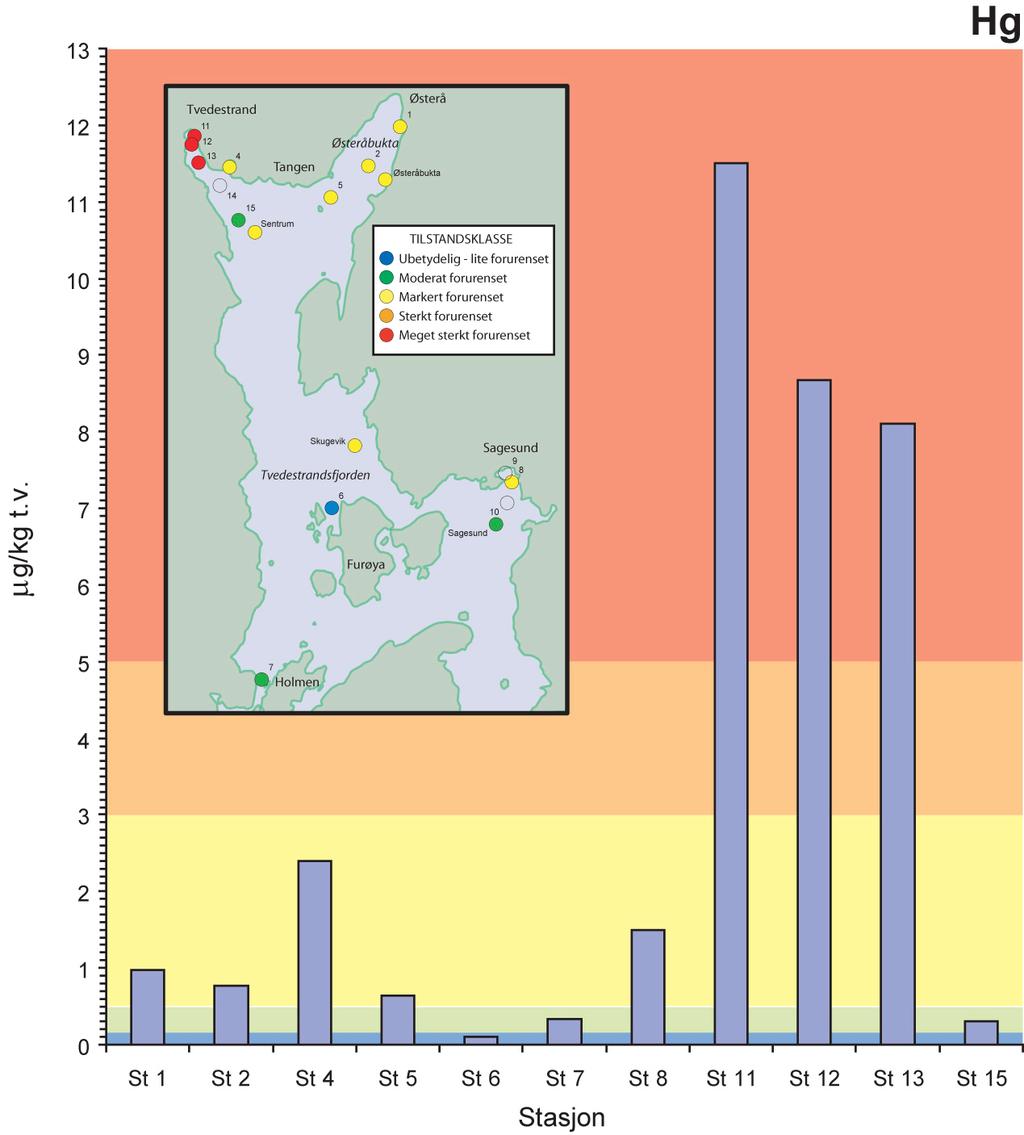 Den geografiske fordelingen i området og konsentrasjoner av kvikksølv i sedimentet er vist i Figur 5.
