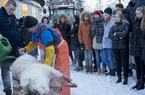 Veiledning av nyutdannede lærere Veiledning av nyutdannede lærere i samarbeid med Høgskolen i Hedmark er videreført i 2017.