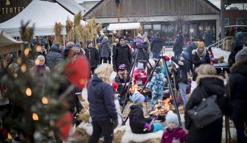 Forebygging og mestring er hovedstrategien for at helse- og omsorgstjenestene skal kunne møte framtidens utfordringer. I 2017 er det jobbet med alle innsatsområdene i strategien.