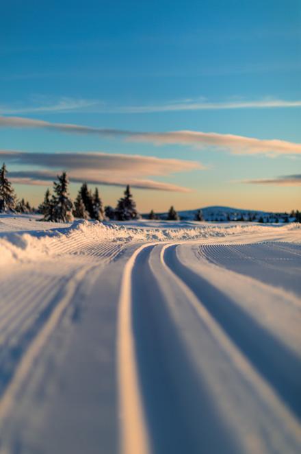 Norges beste og flotteste