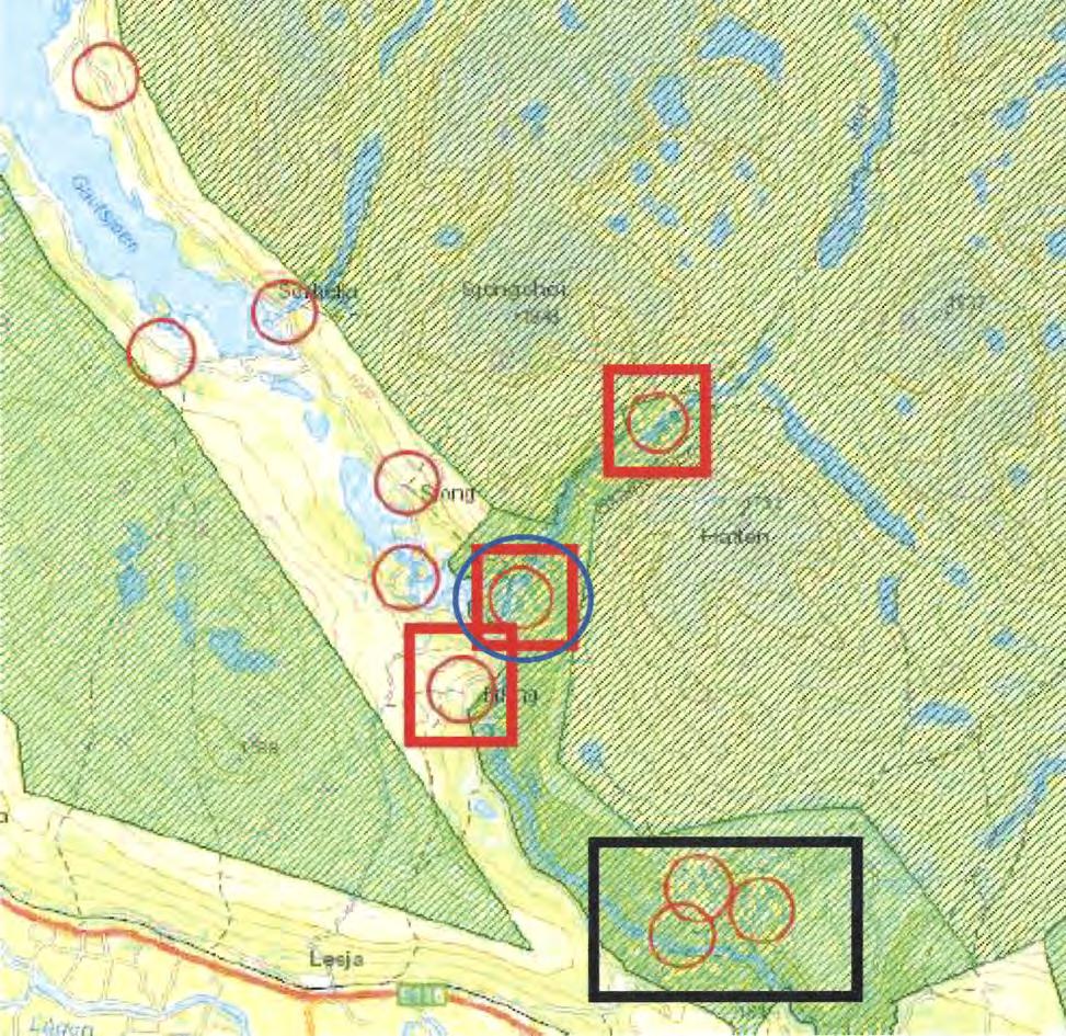 Figur 1. Kart over setergrendene på dalsida. Røde sirkler viser setergrendene. Røde firkanter viser setergrendene som er kartlagt i 2016 (men ikke den som står over Nysetra merket med blå sirkel).