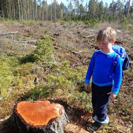 Storefot Alle Storefoter i kommunen, fikk bestillingsverk og invitasjon til felles utstilling.