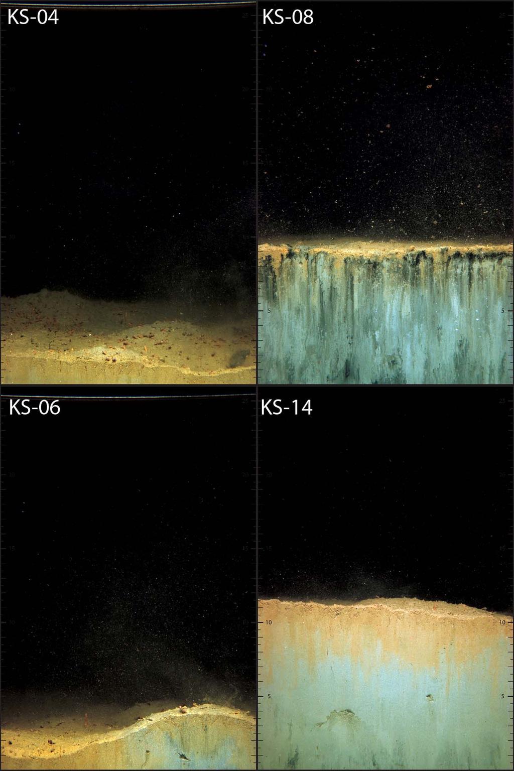 Figur. Sedimentprofilbilder fra utvalgte stasjoner. I indre fjord var penetrasjonsdybden liten (KS-, KS-).