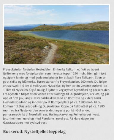 3. Frøysolstølan-Nystølen-Hestedalen, Gol kommune, Nystølfjellet løypelag Turruta