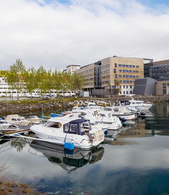 Tromsø er en universitetsby og vertskap for en rekke forskningsinstitusjoner. Det er ofte her de arktiske vitenskapelige ekspedisjonene starter, og ender.