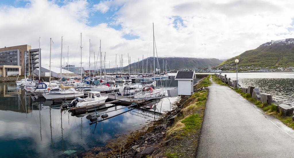 kartlegging av Arktis og