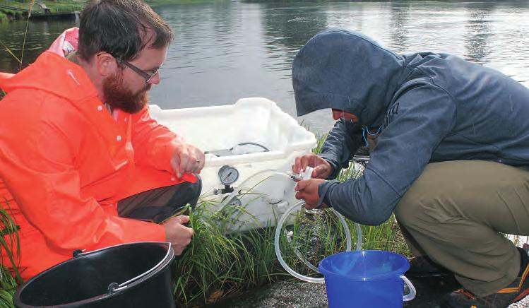 FISKeHeLSeRAPPoRteN 2017 Forsker David Strand fra Forskningsgruppe fiskehelse fotografert