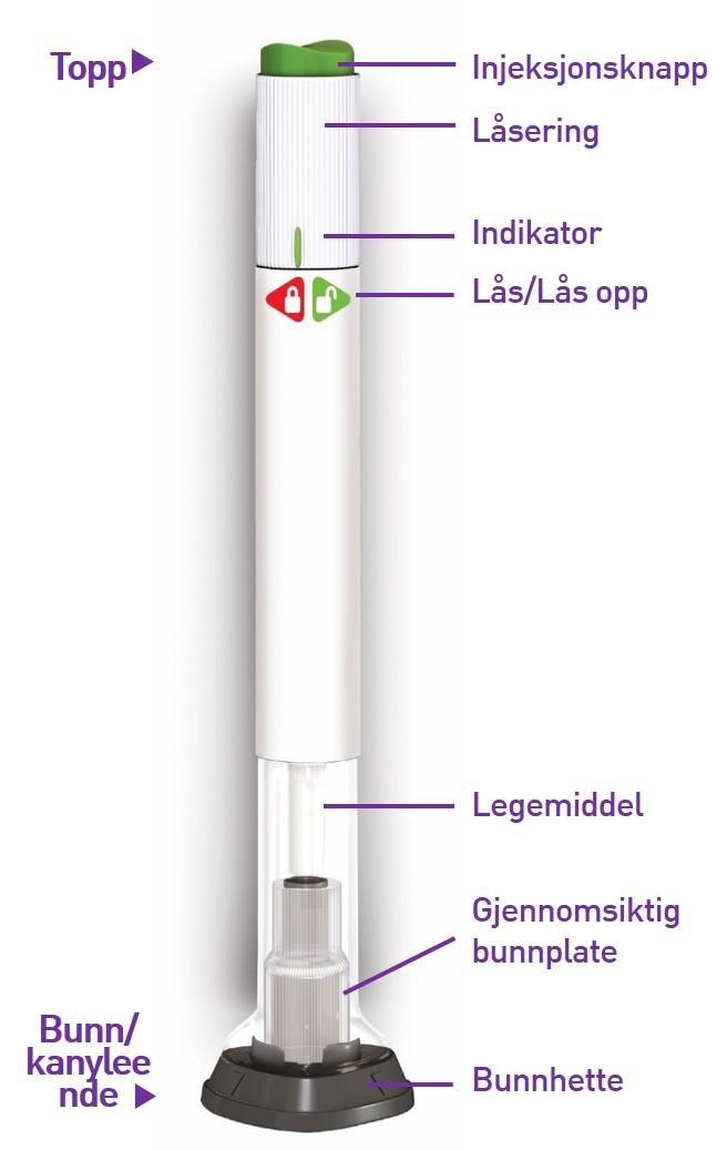 1. FJERN HETTEN 2.