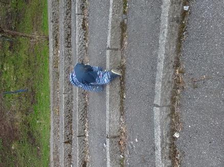 De undrer seg og prøver ut nye ting. Både sammen og hver for seg.