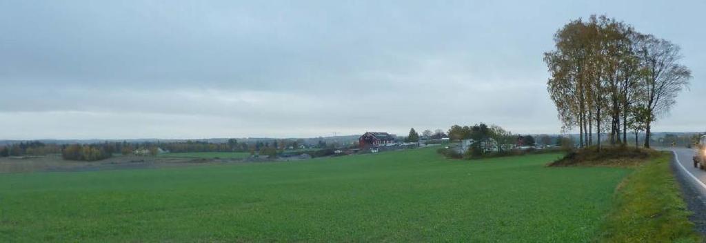 Det er ingen naturlige områder tett på planområdet, nærmeste skogholt ligger ca. 400 m unna. Planområdet er sterkt bearbeidet på grunn av driften med foredling av masser.