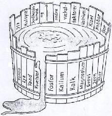 Nødvendige plantenæringsstoffer Makronæringsstoffer Karbon (C) Hydrogen (H) Oksygen (O) Nitrogen (N) Fosfor (P)