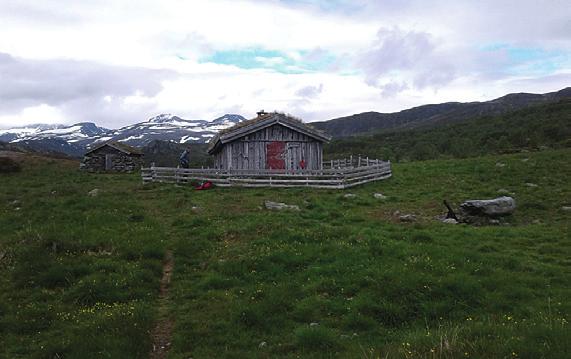 Eller Norgesserien: Espedalen 10057, Otta 10065 og Bygdin 10056, alle karta i målestokk 1:50.000. Oppmøte: kl 08.30 ved Shell sør i Fagernes. Rogne s-lag kl. 08.50, Coop Prix på Heggenes kl. 09.