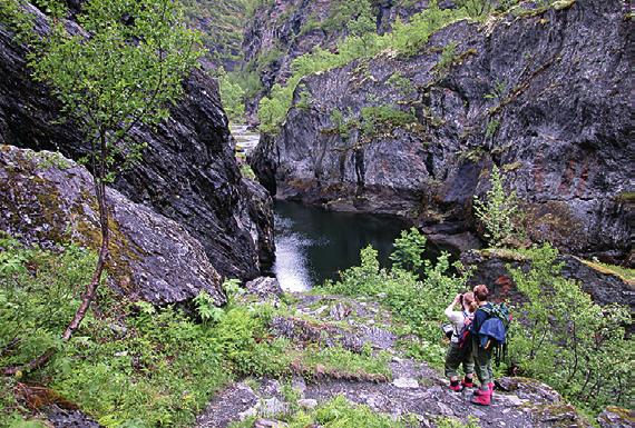 TURPROGRAM VANG TURLAG 2017 17.03 Skitur Filefjell Skakadalen. Oppmøte: kl 10 på Hydro n. Påmeld 10.03. 29.04 Vårtur på Vennis Oppmøte: kl 12 på Sparstadsanden på Vennis. 16.