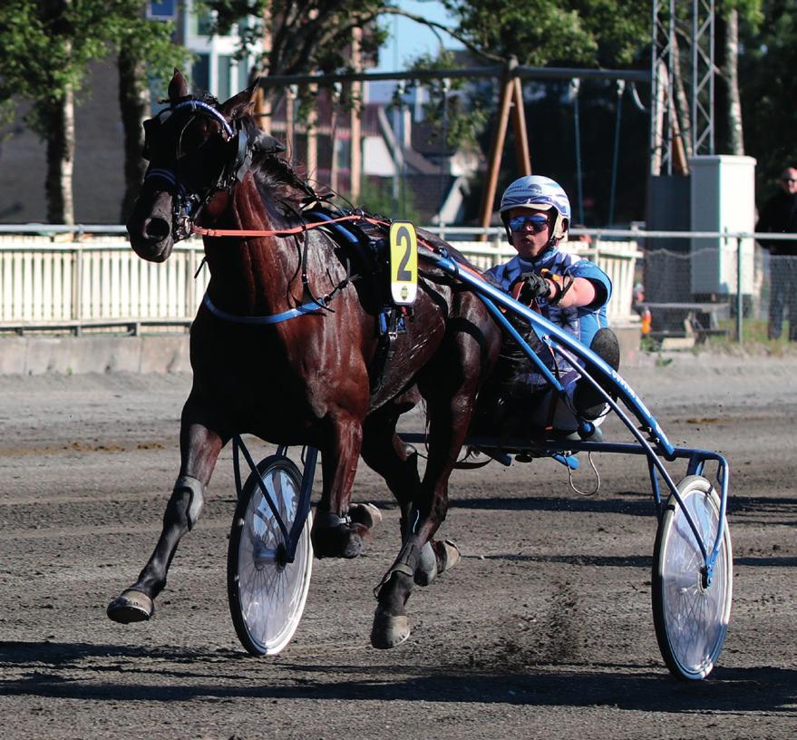 Start ca. kl. 13:50 Ponniløp 2 1 2 3 4 5 6 Neverending L.'s ponniløp Kategorier: C, D, B Distanse: 1600 Startmetode: Autostart Strek: 2,10 2018: 6-2 -2-0 -2 1950-1.46,9 2017 16-5 -6-4 -1 5700-1.