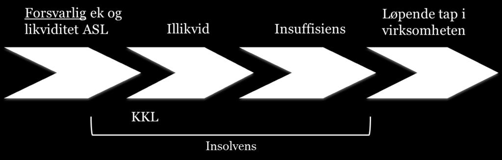 Selskap i økonomisk krise Brudd på handle- eller oppbudsplikten Uforsvarlig finansiering ved transaksjoner, endring av