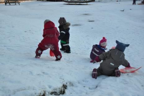 I JANUAR HAR VI: Nytt år nye muligheter Det nye året startet med litt snø.