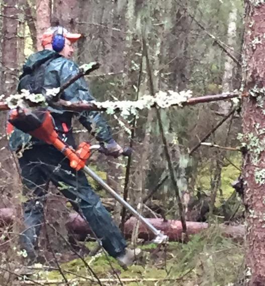 Tabell 9 viser noen kombinasjoner av diameter og høyde med volum for trær, og således hvilke dimensjoner treet må ha for at det skal lønne seg å hogge. Disse overgangene er markert med hhv.