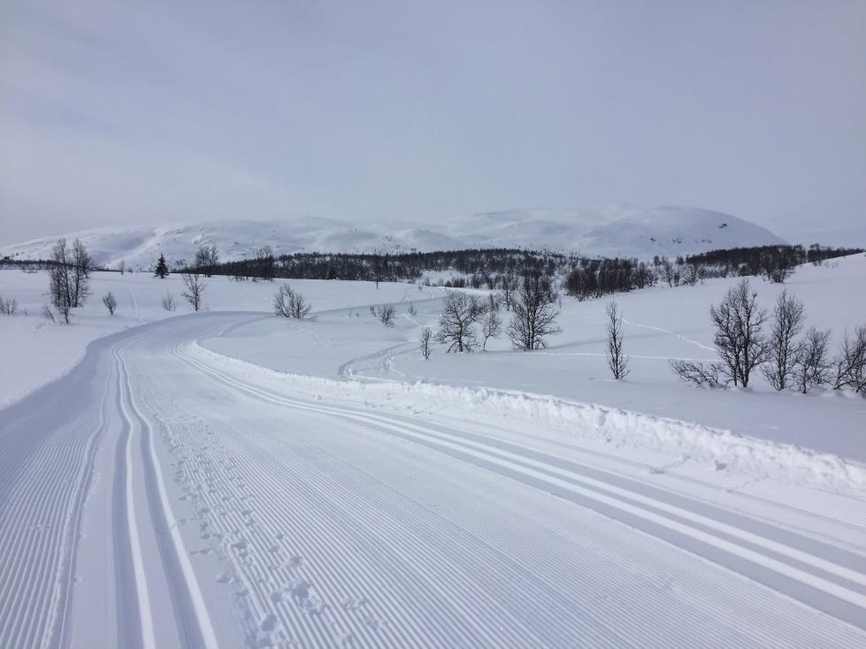 på dugnad, slik at løypemaskinene skal få kjørt skiløypene som går over disse jordene. Hver vår settes grindene tilbake.