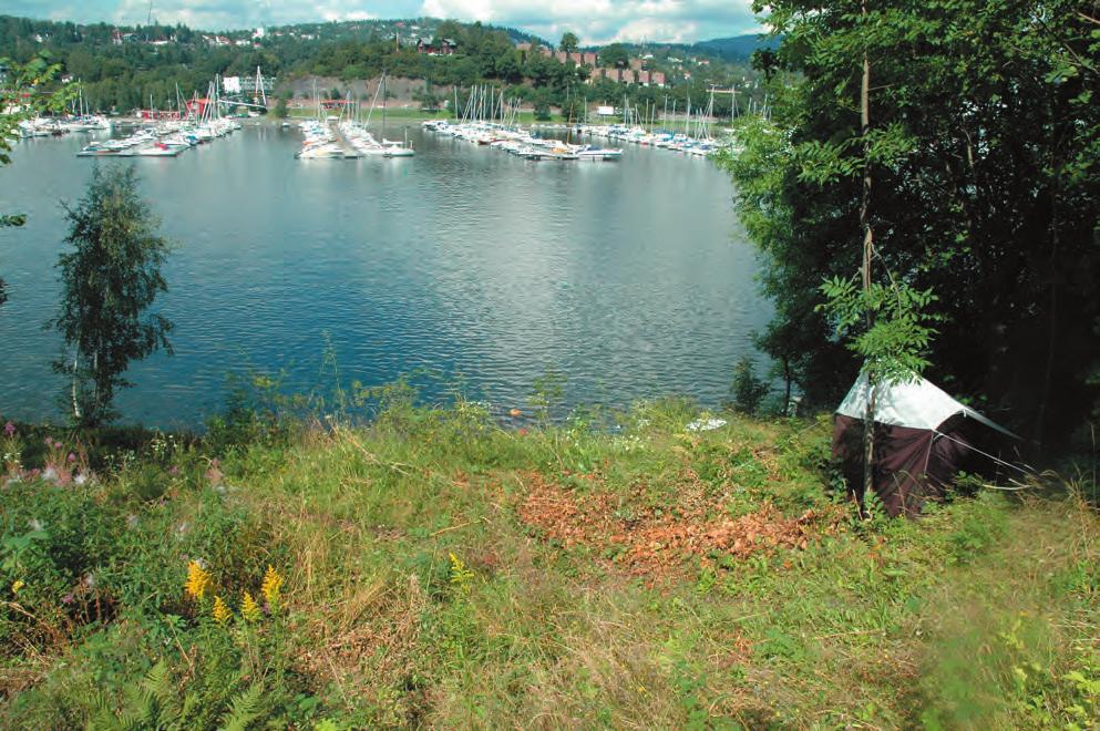 landskapsvernområde i kombinasjon med naturminne (Fylkesmanne og Akershus 2005). Flere av områdene på Bygdøy er med i tidligere verneplaner (M 1999).