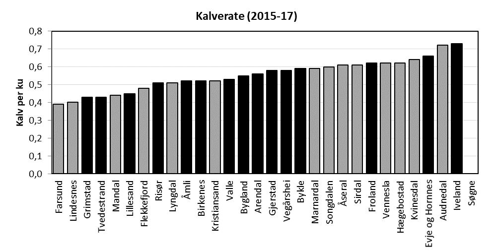 Kalveproduksjonen