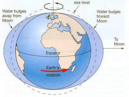 Veldig forenklet kan man si at månens gravitasjonskraft trekker vannet mot seg sånn at det «buler ut» på den siden av jorda som vender mot månen.