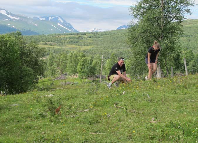 20353 - på Vognillsætra (Ustigard) ligger