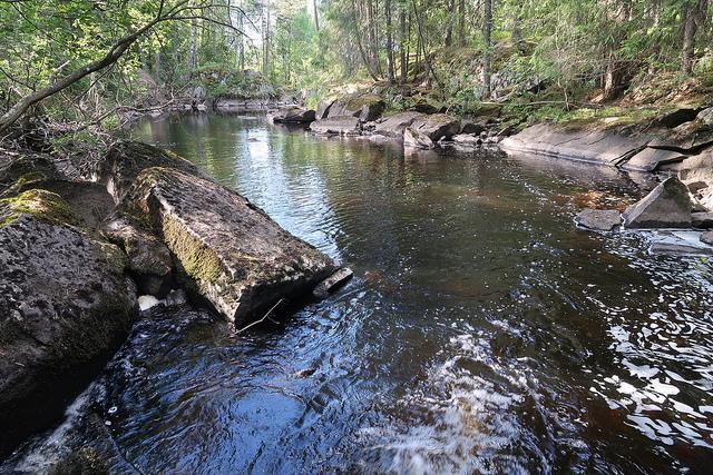 Vannforekomst_ID: Vannforekomst navn: Vanntype: Holsjøvasssdraget ved Fløyta (Hols- Fl)