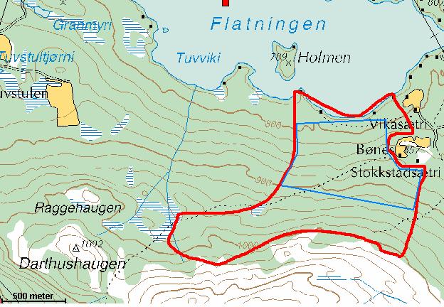 6.3 Flatningslia Referansedata Fylke: Kommune: Kartblad: UTM (senter): Veg. sone: Oppland Vågå 1618 I NP 072 508 NB Inventør: Dato feltreg.: Areal: H.o.h.: Verdi: R. Haugan 21.9.