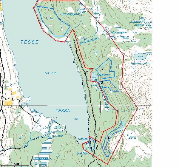 Figur 6.5.1 Kart over område 6.5 Tesselia. Røde grenser markerer undersøkelsesområdet. Blå grenser markerer kjerneområder. Vegetasjon, flora Dominerende treslag i området er furu og bjørk.