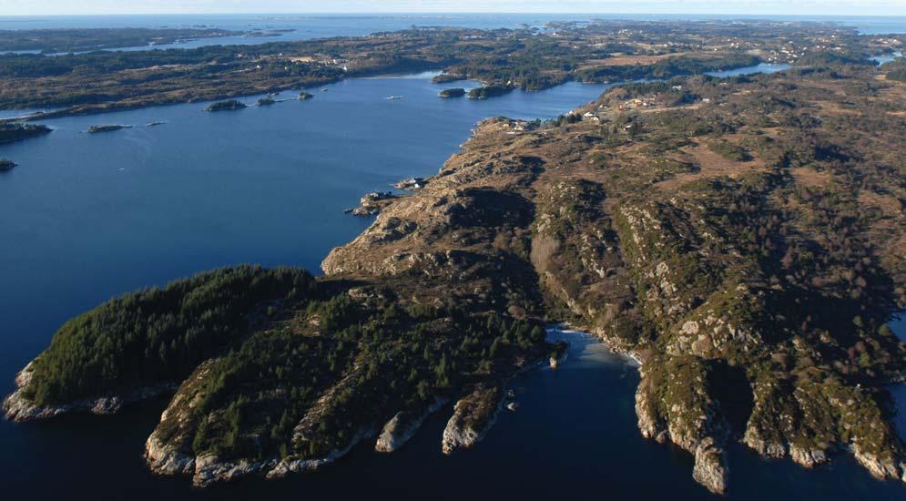 3 SØRE NJØTA VERDI Sørspissen av Njøta er registrert som friluftsområde med lokal verdi. Området er tidligere åpent beiteland som i dag er i ferd med å gro igjen.