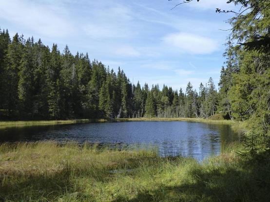 Mulighet for en avkjøling ved post 11 i langløypa. Alle løyper passerer her.