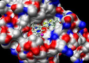 annet være nyttige for rational drug design Trygve Helgaker