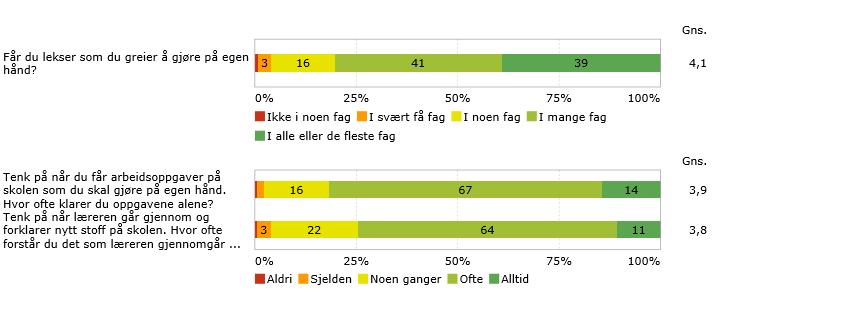 Mestring I et læringsmiljø er det av stor betydning at elevene opplever mestring. Mestring gir verdifull motivasjon for å gå løs på nye arbeidsoppgaver som igjen gir god progresjon i læringsarbeidet.