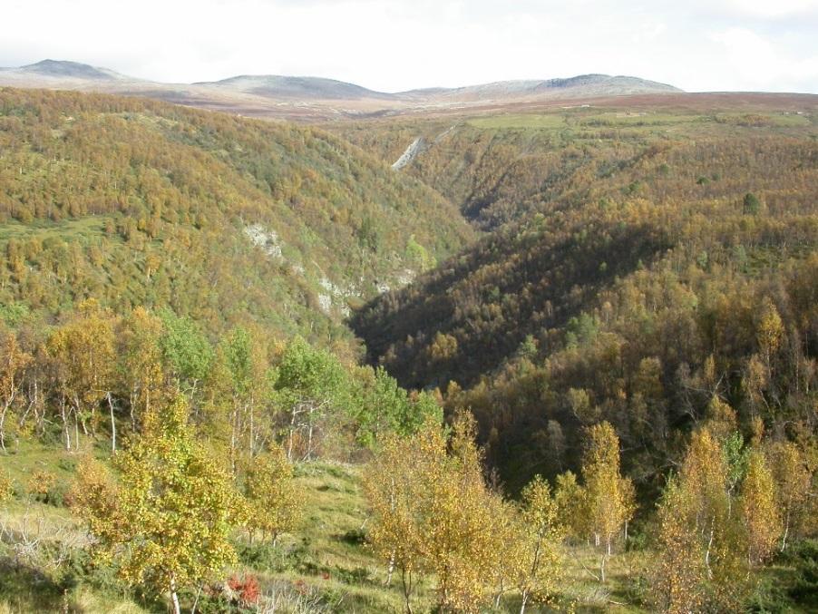 NATURMANGFOLDLOVEN: Lovens formål er at naturen med dens biologiske, landskapsmessige og geologiske mangfold og økologiske prosesser tas vare på ved