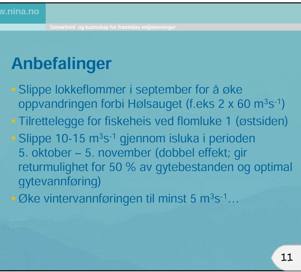 Lokke og fange/strande fisk for å heise over demningen og eller tilrettelegge for permanent fiskeheis ved flomluke 1.