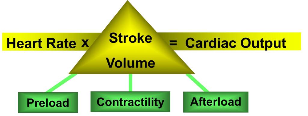 Hemodynamikk made easy.